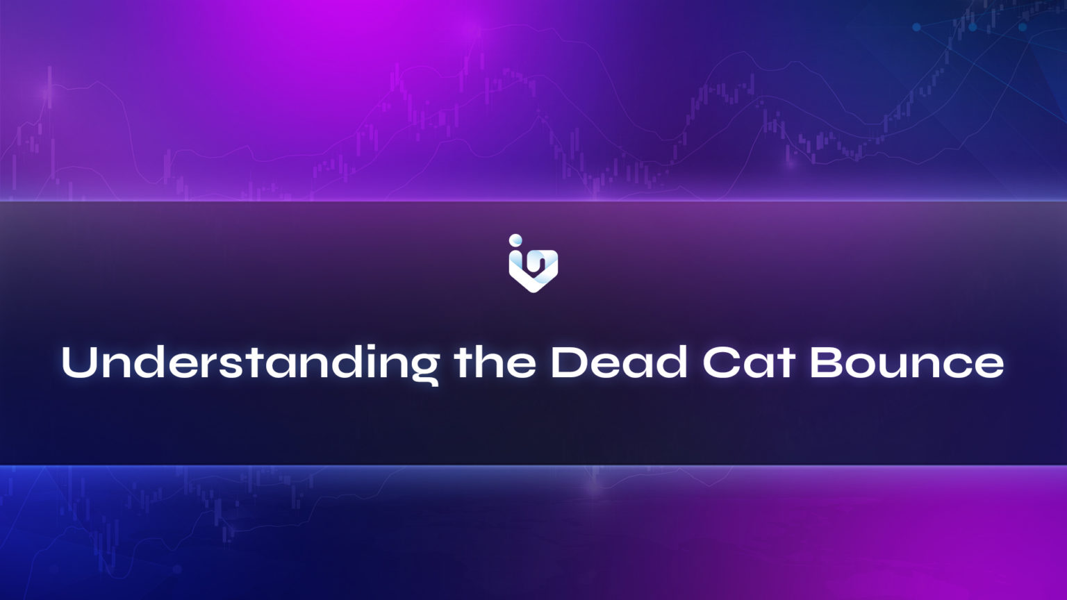 understanding-the-dead-cat-bounce-investadaily