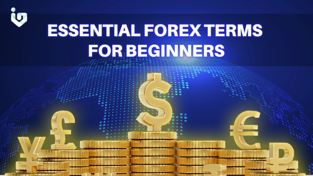 Essential Forex Terms for Beginners