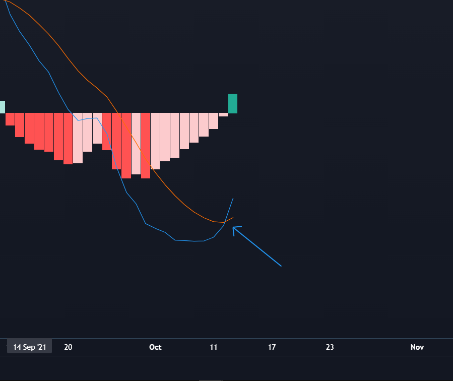 MACD buy signal