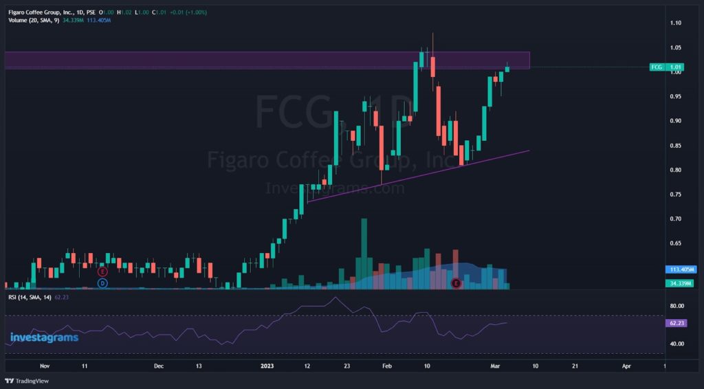 Analysis on $FCG